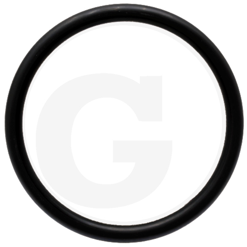 ORING 31.4 A 5450734303031=X548956401000