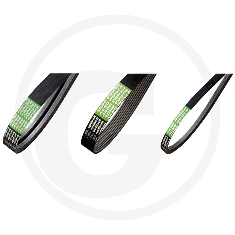 CUREA CANELATA  1F 55130319