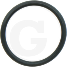 O-RING 570018.0X2.5