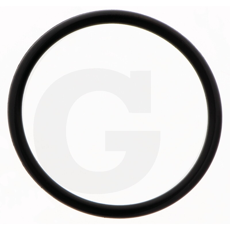 Oring 64051M7049