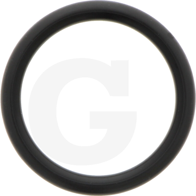 ORING 64051M7119