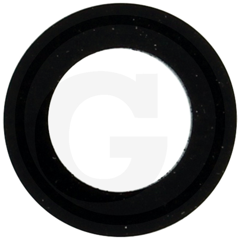 saibe 640A4847r