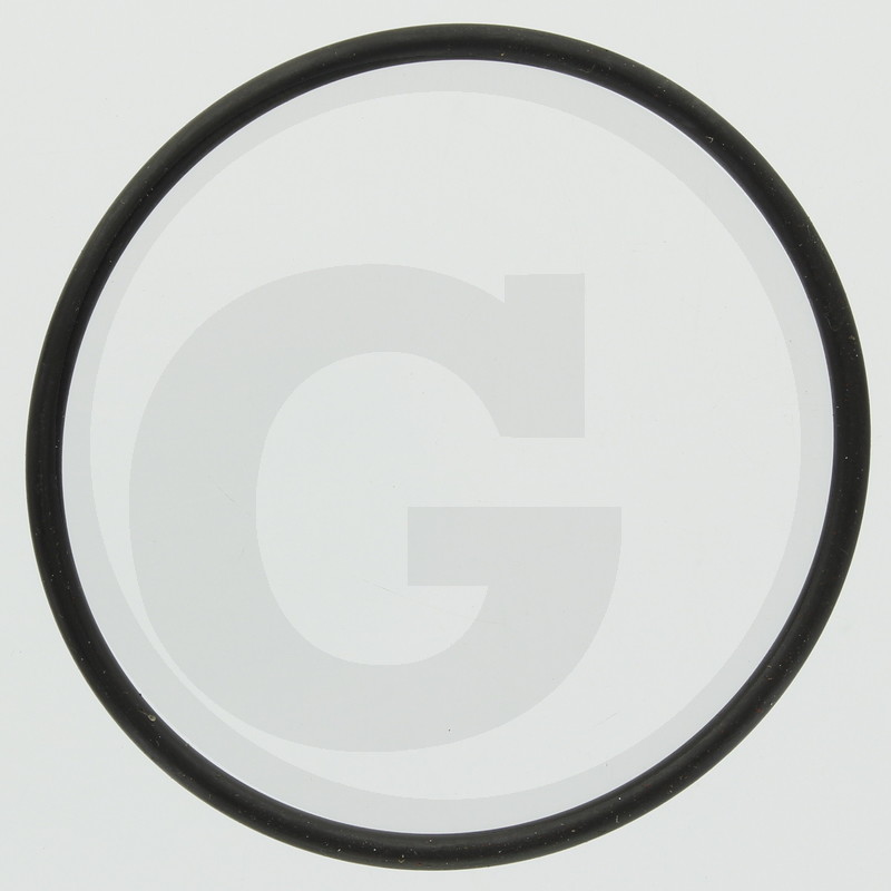 O-RING 6602.1530.172.0