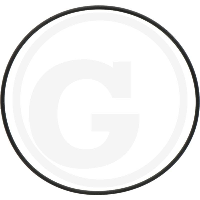 O-RING 30.2 A