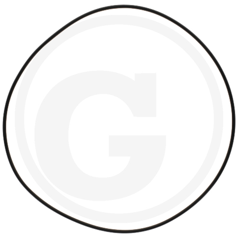 O-RING 70806267