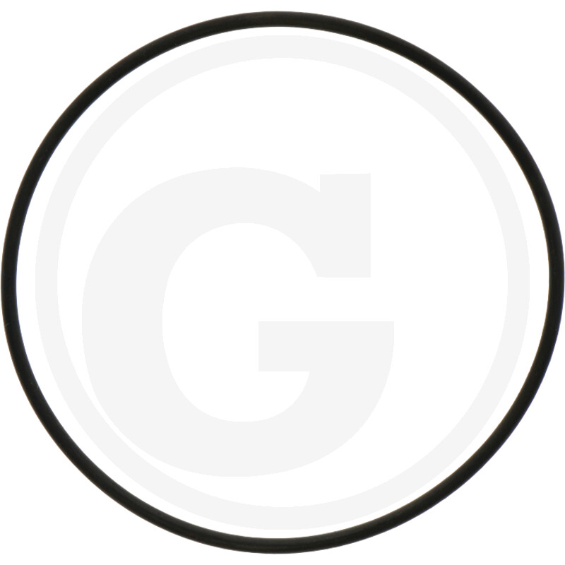 O-RING