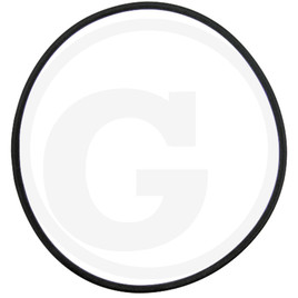 O-RING 71802028