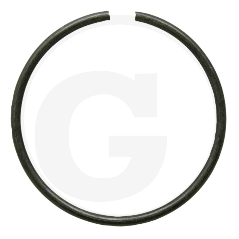 Saiba elastica 71806010