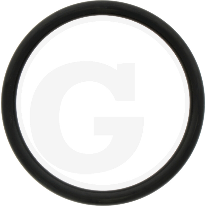 O-RING 71806363