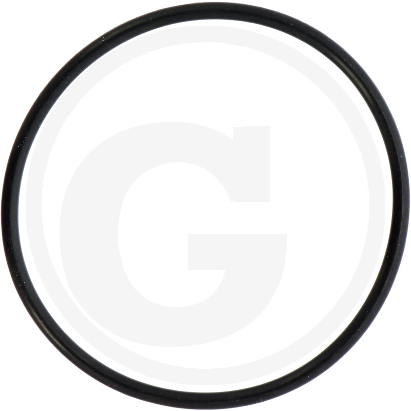 O-RING 72706644