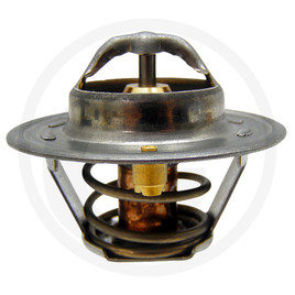 TERMOSTAT 74702160