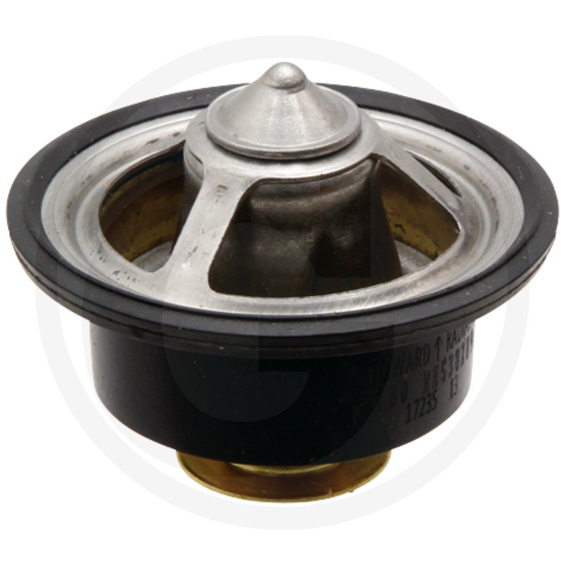 TERMOSTAT 31.5 74712478