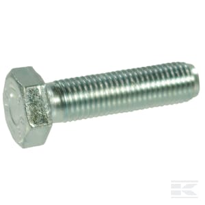 SUrub cap hexagonal 9611012540